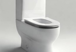 居冉智能马桶1091：家用智能马桶体验推荐