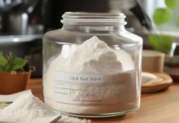 LG冰箱全国维修中心电话分析（藕粉放冰箱能保存多久？揭秘保质期真相）